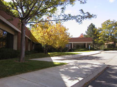 CoRA in fall