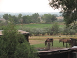 IMG_6152.JPG
