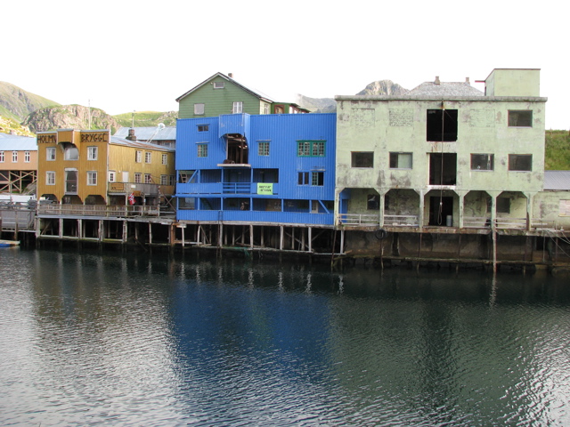 IMG_2635.JPG