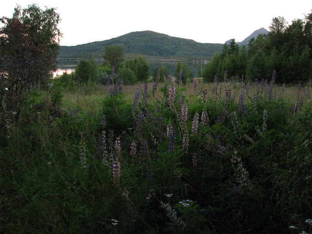 IMG_2940.JPG