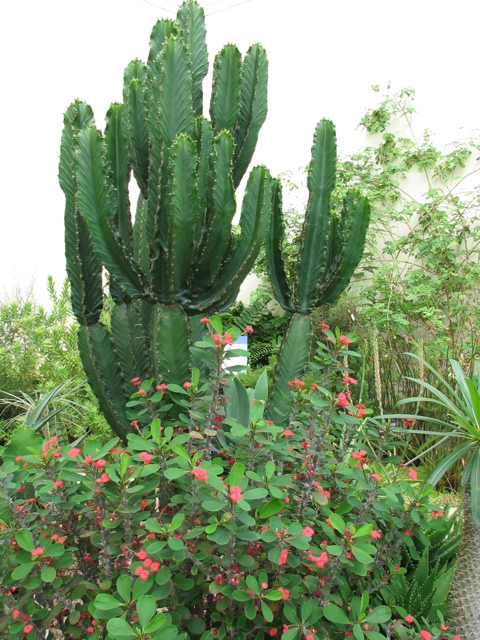 IMG_3497.JPG