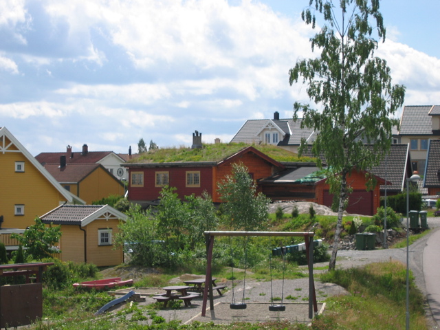 IMG_9597.JPG