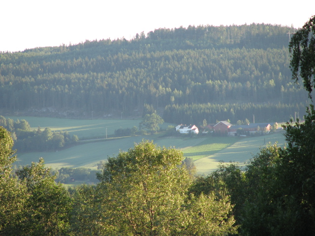 IMG_1416.JPG