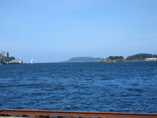 IMG_9766.JPG