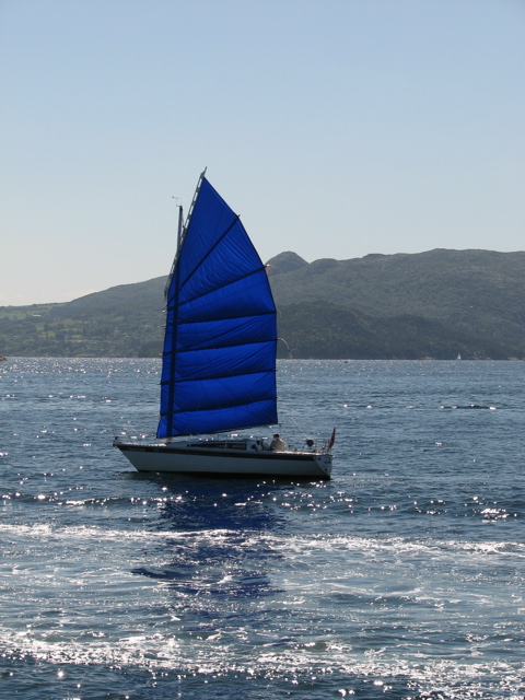 IMG_1700.JPG