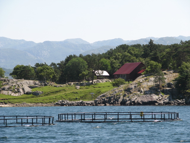 IMG_1764.JPG