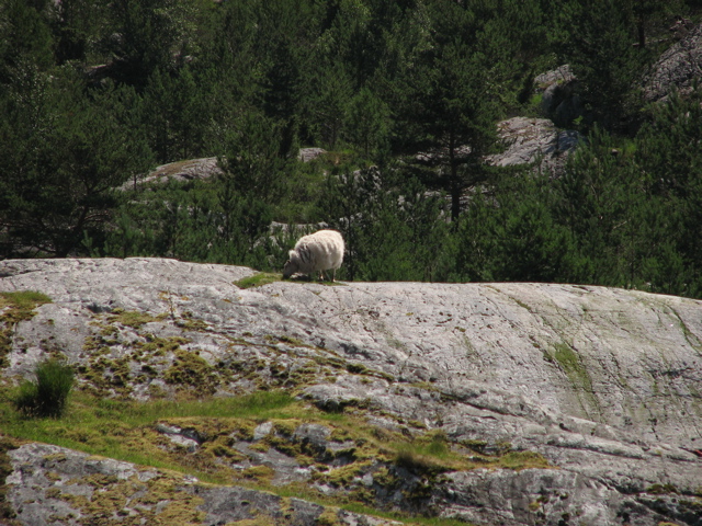 IMG_1878.JPG