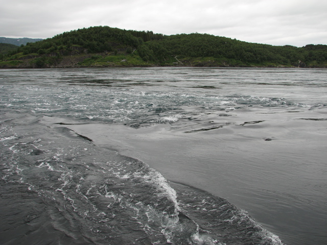 IMG_2290.JPG