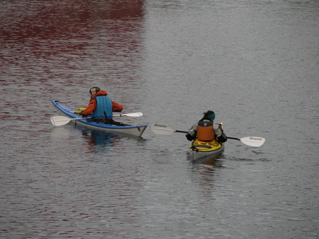 IMG_2586.JPG