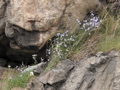 IMG_2620.JPG