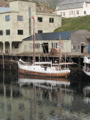 IMG_2664.JPG