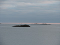 IMG_2667.JPG