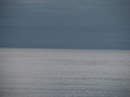 IMG_2726.JPG