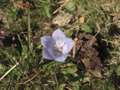 IMG_2822.JPG