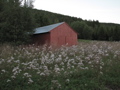 IMG_2950.JPG
