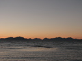 IMG_2979.JPG