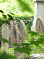 IMG_3539.JPG