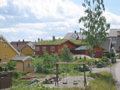IMG_9597.JPG