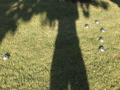 IMG_1415.JPG