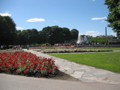 IMG_9666.JPG