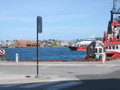 IMG_9764.JPG