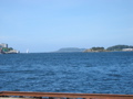 IMG_9766.JPG