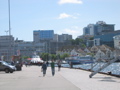 IMG_9772.JPG