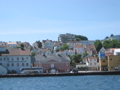 IMG_9775.JPG