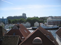 IMG_9819.JPG