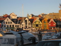 IMG_9852.JPG