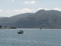 IMG_1834.JPG