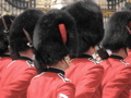 IMG_1126.JPG