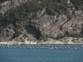 IMG_1870.JPG