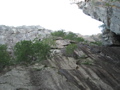 IMG_1920.JPG