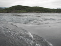 IMG_2290.JPG