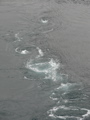 IMG_2320.JPG