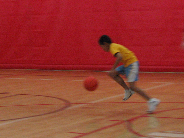 IMG_7343.JPG