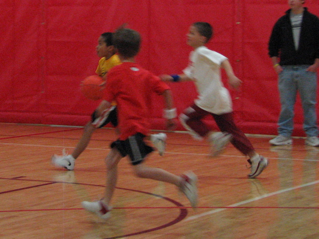 IMG_7800.JPG