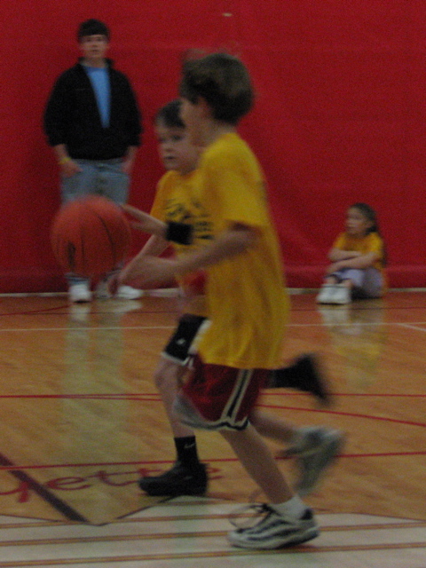 IMG_7918.JPG