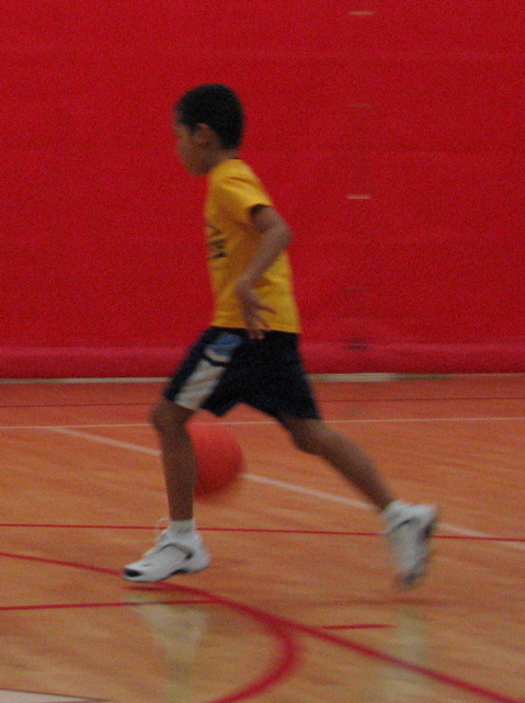 IMG_8014.JPG
