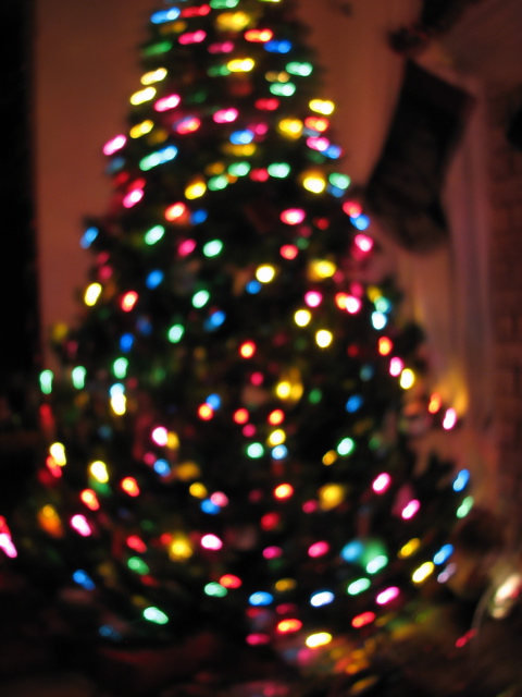 IMG_6632.JPG