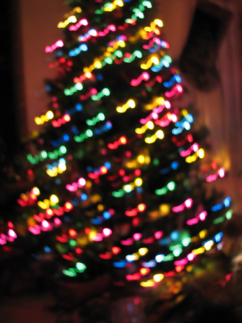 IMG_6638.JPG