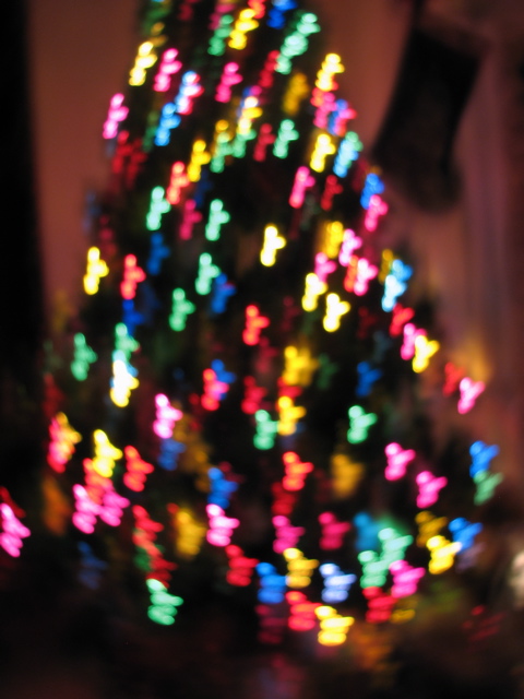 IMG_6640.JPG