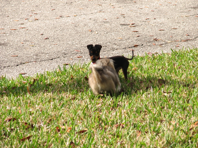 IMG_6911.JPG