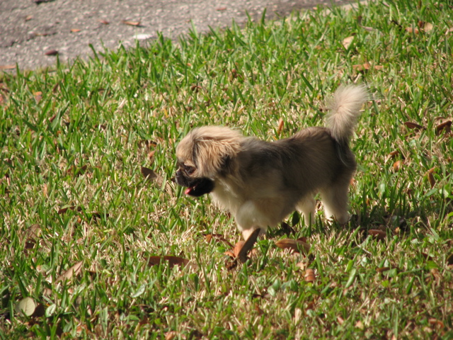 IMG_6913.JPG
