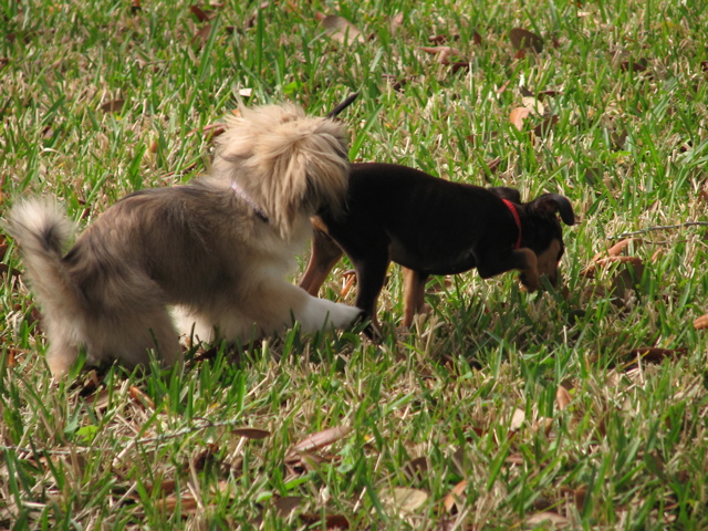 IMG_6919.JPG