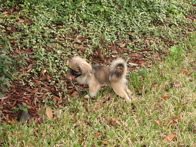 IMG_6928.JPG