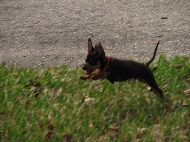 IMG_6936.JPG