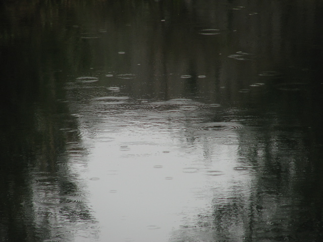 IMG_6463.JPG