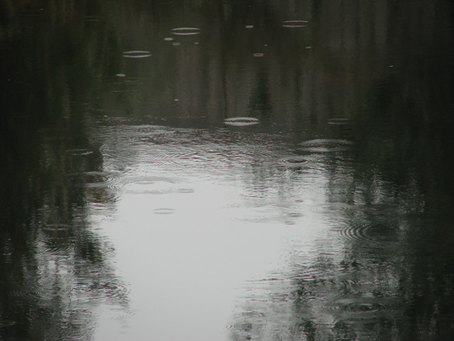 IMG_6465.JPG